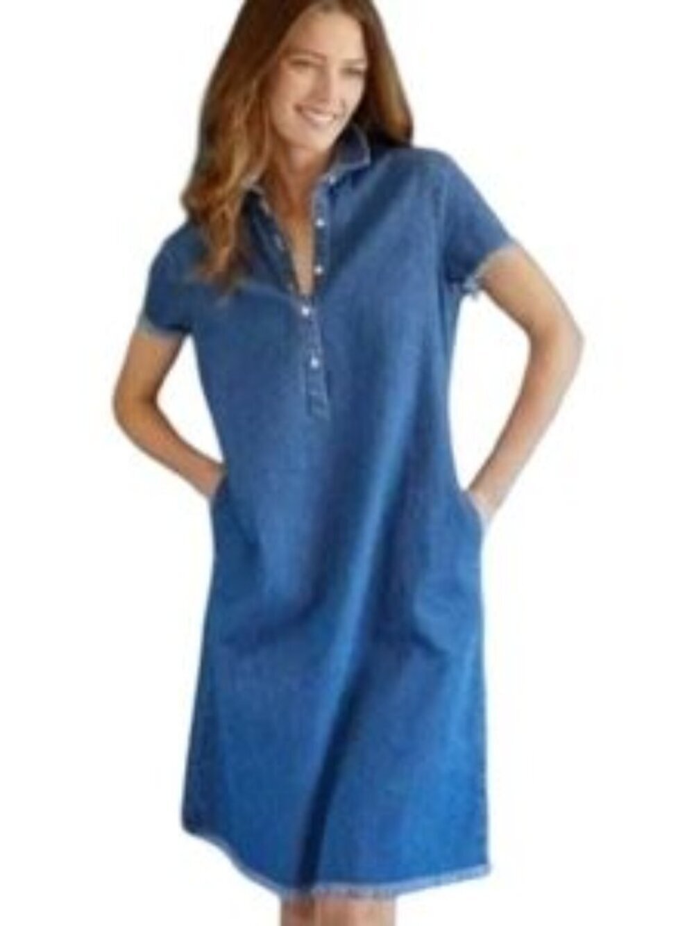 J.McLaughlin Jones Denim Shift Dress Size XS